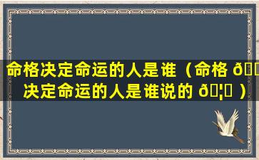 命格决定命运的人是谁（命格 🐋 决定命运的人是谁说的 🦟 ）